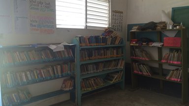 Adria's Library - after