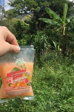A Mountainside Juice bag juice in the Jamaican bush