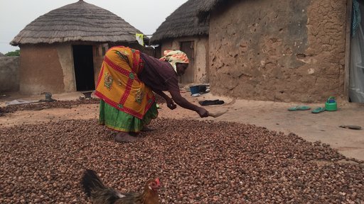 Feed the Future Water Project Ghana (Women with shea nuts)