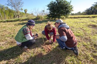 Tree plantation at Paraguay Verde Camp