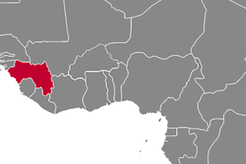 Guinea
