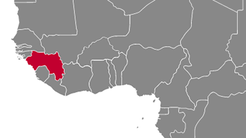 Guinea