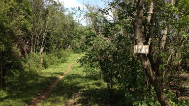 Photo of the trail