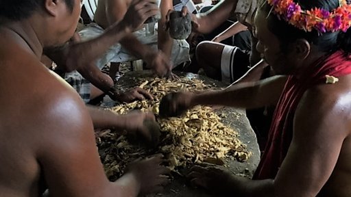 Pounding the sakau root