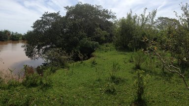 One of the open areas by the river