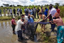 demonstration of fish farming