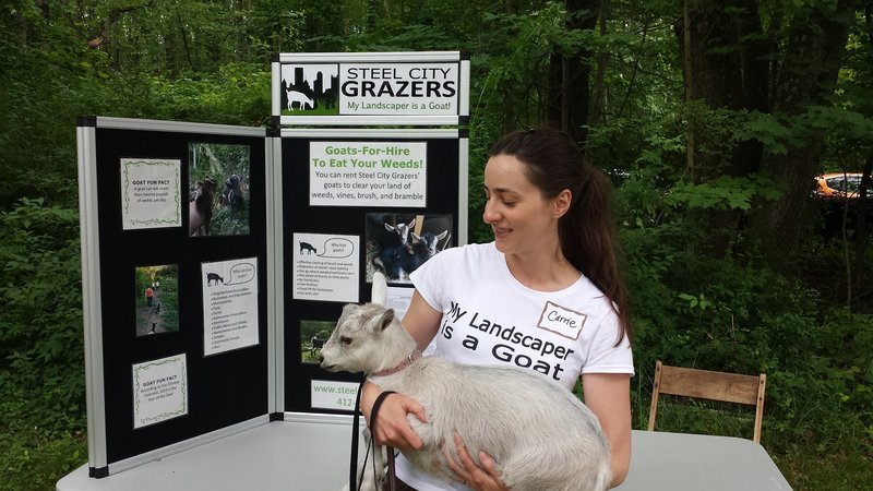 Steel City Grazers