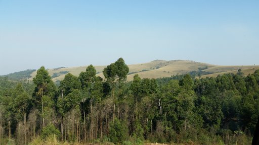 Catherine Dell serves as a Global Health Service Partnership Volunteer in Swaziland.