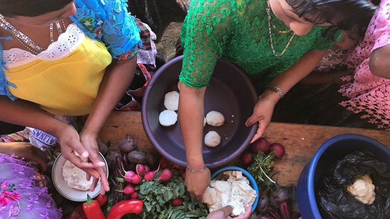 Training Center and Early Pregnancy Malnutrition Training Program