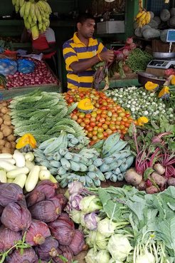 Vegetable stall with variety of vegetables for sale
