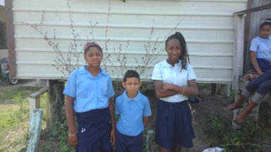 School children who were collecting plastic bottles