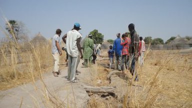agriculture