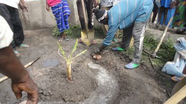 agriculture