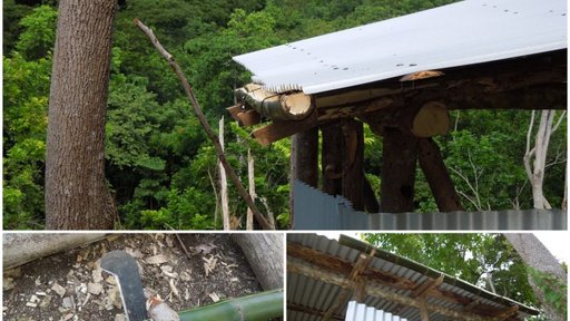 Bamboo gutter
