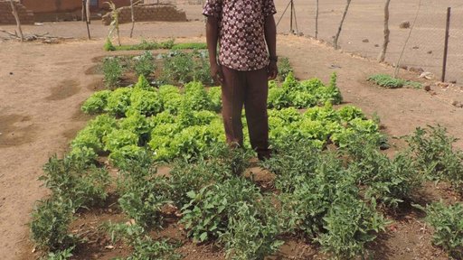 School director in the garden