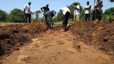 cashew production