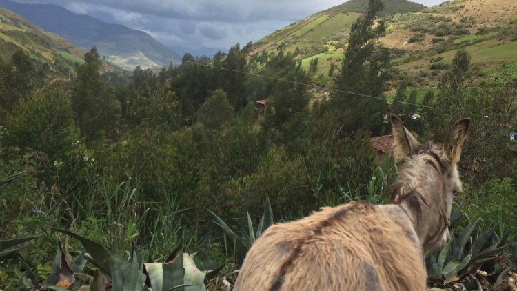 The Director's Travel Blog, Day 2: Trujillo to Otuzco