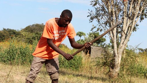 Clearing the land for the ward