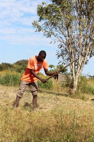 Clearing the land for the ward