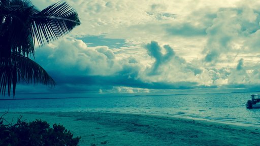 A seaside afternoon