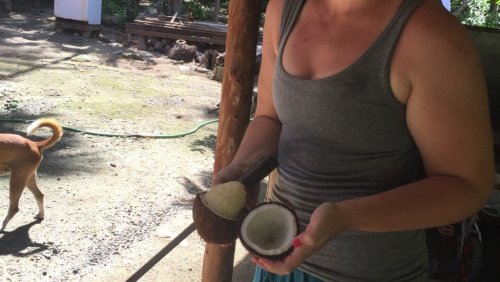 How to make coconut oil