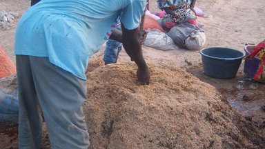 Making Compost. Photo by Alyssa