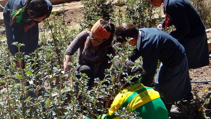 How three Volunteers are tackling Peru's environmental challenges