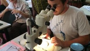 Entomology Training