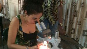 Entomology Training