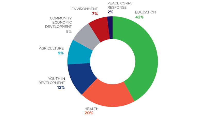 Percentage of Volunteers serving in 2019 by sector