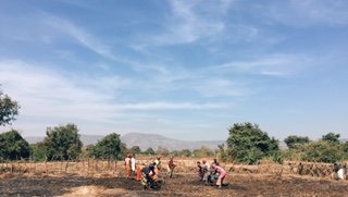 Women are the key to food security