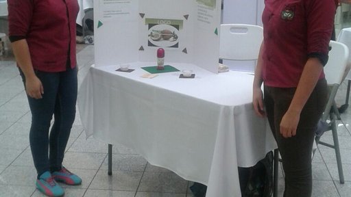 Junior Achievement Costa Rica 3