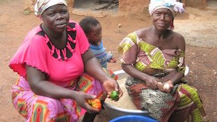 The school feeding program cooks using the fresh produce from the garden.