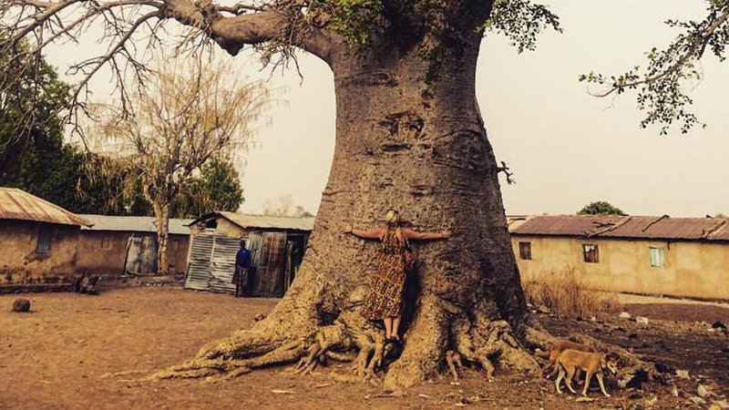 Gnarly tree