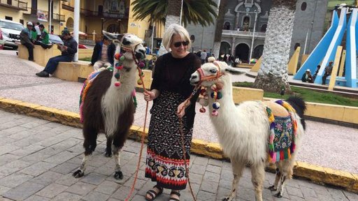 Making new friends