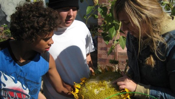 Channeling Peace Corps service, RPCV tackles Baltimore’s food deserts