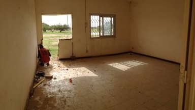 library construction1