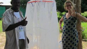 malaria