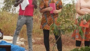 Moringa