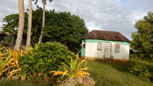 An old Tongan house