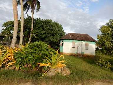 An old Tongan house