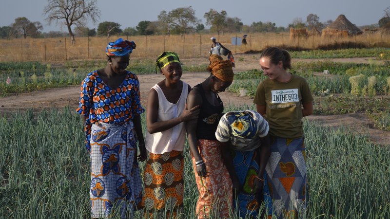Agriculture Extension Specialist (The Gambia)
