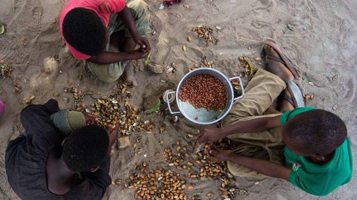 Stephen Pope peanut sorting