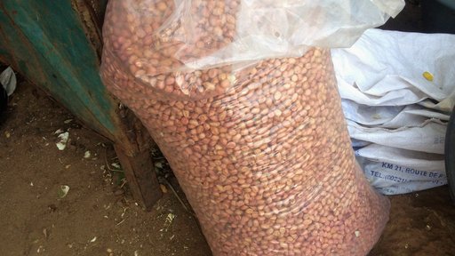 Peanuts