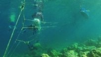 Local stakeholders attach coral fragments to mid-water rope nurseries at one of the marine protected areas, in hopes of rehabilitating and returning the fragments to the reef.