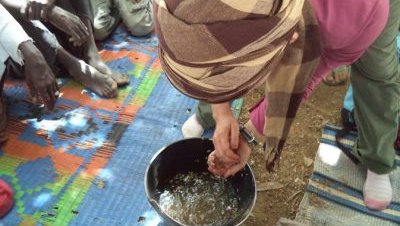 System of Rice Intensification