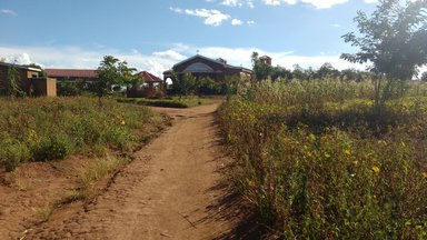 A view of a building surrounded by a corn field in a Volunteer's village.