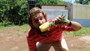How to eat a pineapple