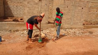tree planting