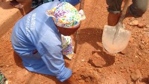 tree planting